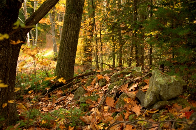 Scenic Photos